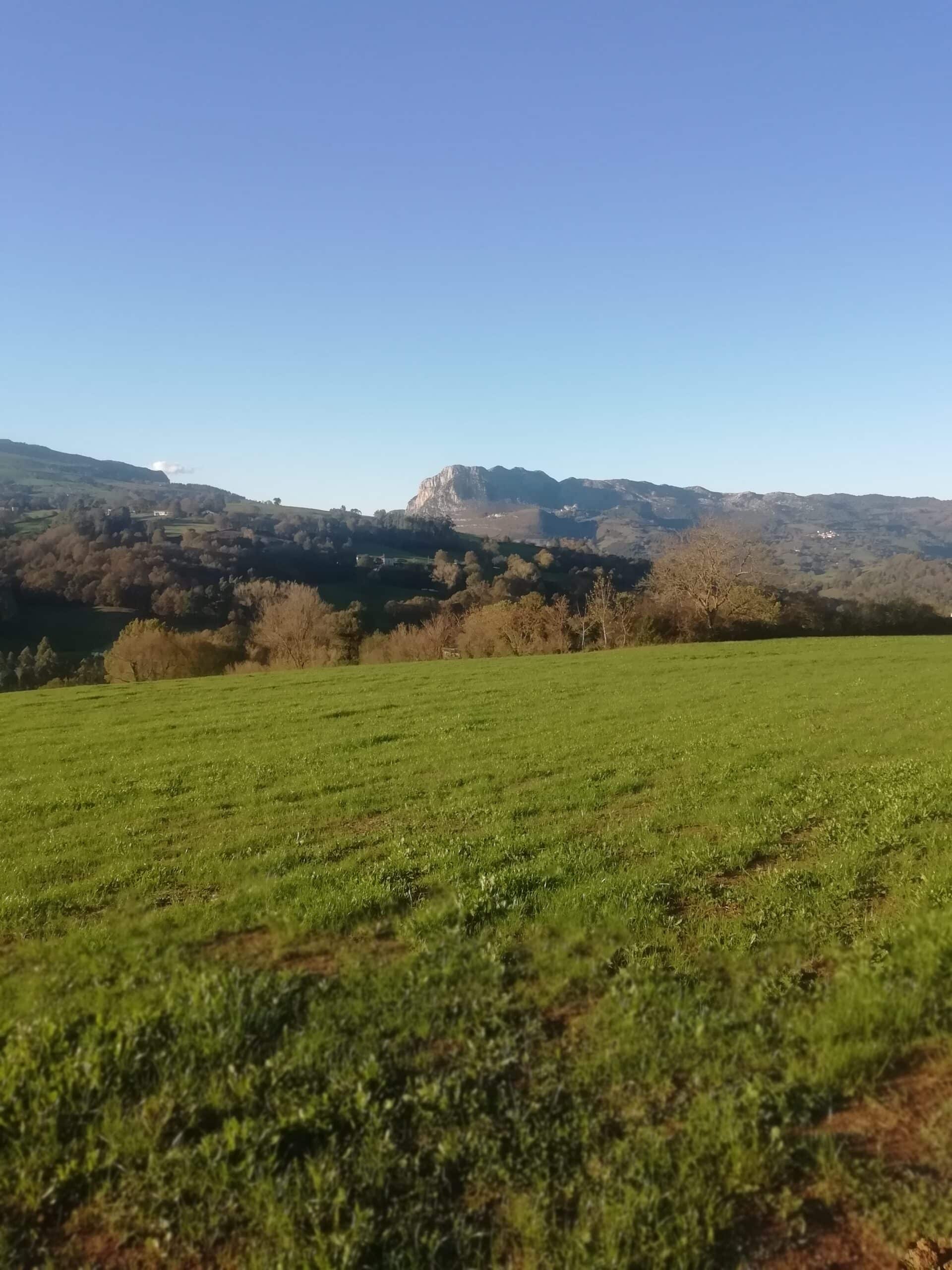carranza basque country