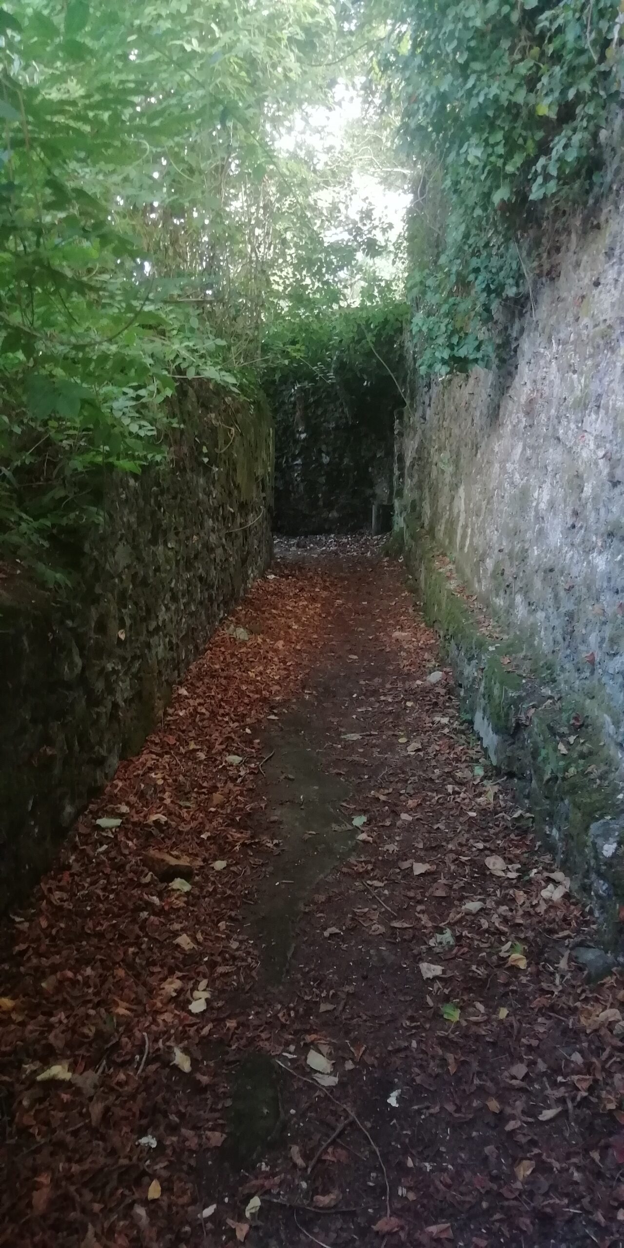 Ancient Walkways of Guernica