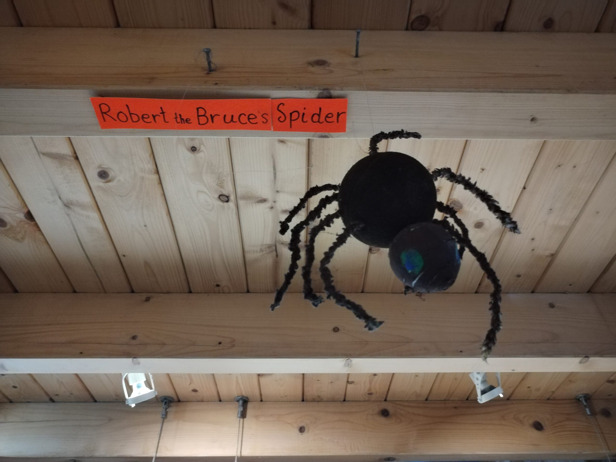 Robert the Bruce's Spider