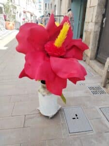 Street Flowers in Dax
