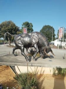 Bulls in Dax