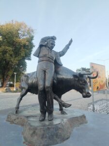 Friendly Bullfighting in Dax